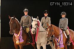 07YN_18314 thumbnail