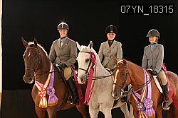 07YN_18315 thumbnail