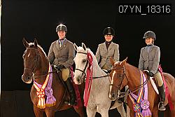 07YN_18316 thumbnail