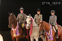 07YN_18319 thumbnail
