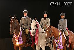 07YN_18320 thumbnail