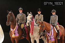 07YN_18321 thumbnail
