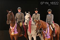 07YN_18322 thumbnail