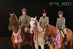 07YN_18323 thumbnail