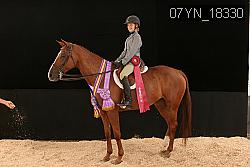 07YN_18330 thumbnail
