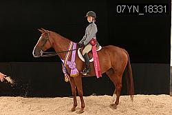 07YN_18331 thumbnail