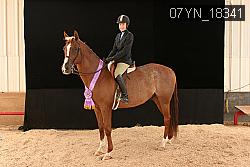 07YN_18341 thumbnail