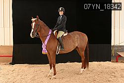 07YN_18342 thumbnail