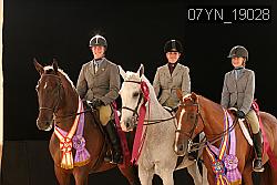 07YN_19028 thumbnail