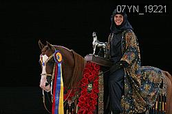 07YN_19221 thumbnail
