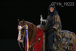 07YN_19223 thumbnail