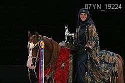 07YN_19224 thumbnail