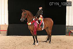 07YN_10820 thumbnail