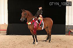 07YN_10821 thumbnail