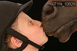 07YN_10929 thumbnail