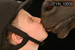 07YN_10930 thumbnail