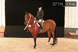 07YN_10946 thumbnail