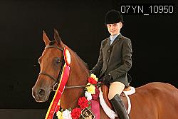 07YN_10950 thumbnail