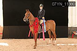 07YN_11380 thumbnail