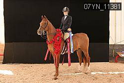 07YN_11381 thumbnail