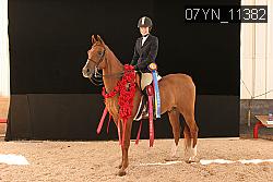 07YN_11382 thumbnail