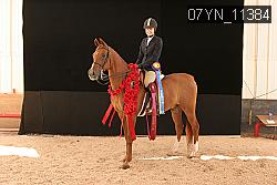 07YN_11384 thumbnail