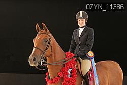 07YN_11386 thumbnail