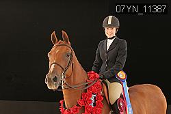 07YN_11387 thumbnail