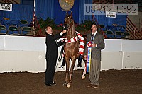 08r12_0392 thumbnail