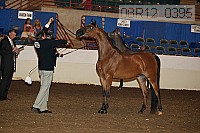 08r12_0395 thumbnail
