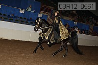 08r12_0561 thumbnail