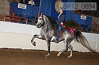 08r12_0894 thumbnail