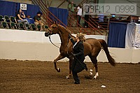 08r12_0999 thumbnail