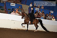 08r12_2871 thumbnail