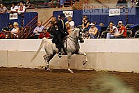 08r12_2887 thumbnail