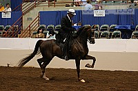 08r12_1535 thumbnail