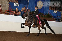 08r12_1673 thumbnail