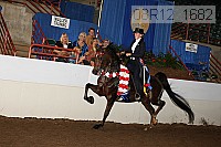 08r12_1682 thumbnail