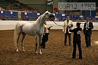 08r12_1782 thumbnail