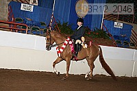 08r12_2046 thumbnail