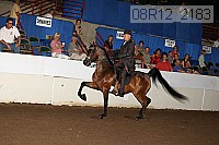 08r12_2183 thumbnail