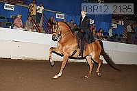 08r12_2185 thumbnail