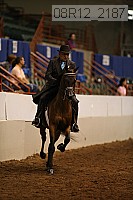 08r12_2187 thumbnail