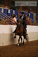 08r12_2195 thumbnail
