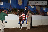 08r12_2202 thumbnail