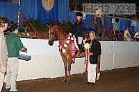 08r12_2239 thumbnail