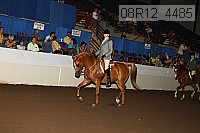 08r12_4485 thumbnail
