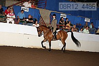 08r12_4486 thumbnail