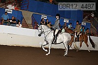 08r12_4487 thumbnail
