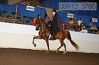 08r12_3788 thumbnail